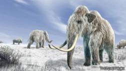 La alianza con los lobos que acabó con el hombre de Neandertal