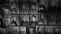 Secuelas del Holocausto se transmiten genéticamente