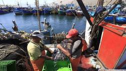 Pesqueras creen que El Niño no impactará en la anchoveta