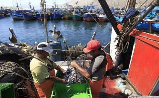 Pesqueras creen que El Niño no impactará en la anchoveta