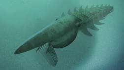 Descubren monstruo marino que vivió hace 480 millones de años