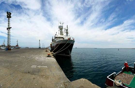 MTC: Hay inversiones por US$2.000 millones para mejorar puertos