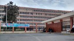 Infección contagiada por roedores habría matado a dos hermanos