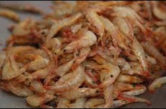 Casma: Incautan camarón de río en veda y pulpo bebé