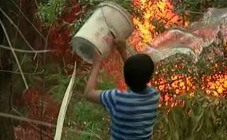Así se luchó para apagar incendio en reserva natural de Chile