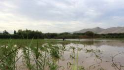 Ica: río Grande arrasa puente y aísla a 800 familias de poblado