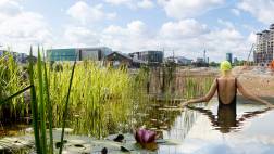 Plantas limpiadoras: conoce este nuevo proyecto en Londres