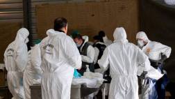 Germanwings: Aíslan 78 muestras de ADN del lugar de la tragedia