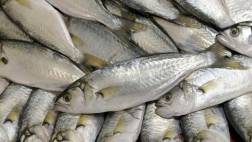 ¿Cuáles son los pescados más consumidos por los peruanos?