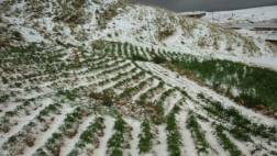Huancavelica: fuertes lluvias causan pérdidas en cultivos