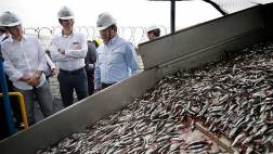 Solo se capturará el 35% de la cuota de pesca en el sur