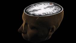 La deficiencia de vitamina E puede dañar el cerebro