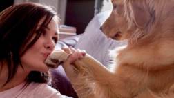 Conexión entre dueños y perros es similar al de madres e hijos