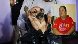 Dueña de perros abandonados en La Victoria culpó a sus vecinos