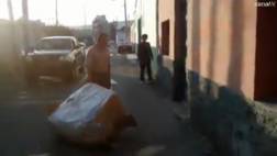 Tacna: sujeto habría quemado a sus dos perros