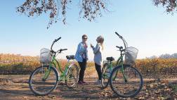 Atrévete y recorre la ruta del vino en Chile