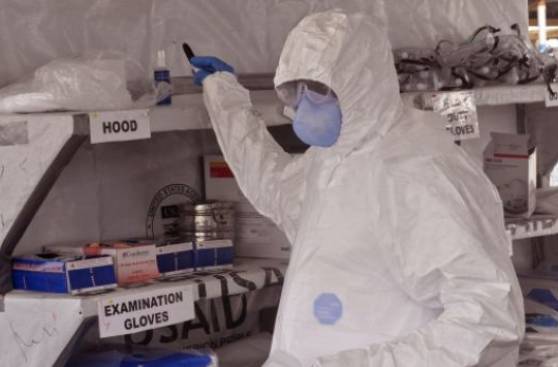 Ébola: tratamiento experimental tuvo éxito en estudio con monos