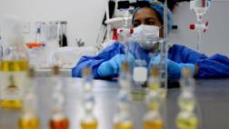 Evitan la transmisión de enfermedades hereditarias en ratones