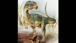 Extraño dinosaurio sorprende con extraña mezcla de rasgos