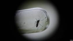 Lo que se sabe de la primera vacuna contra el dengue
