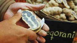 El 60% de marcas colectivas pertenece al sector alimentos