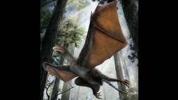 Yi qi, un minidinosaurio con alas de murciélago