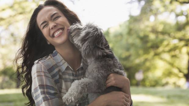 Estas son las señales de que tu mascota se convirtió en tu hijo