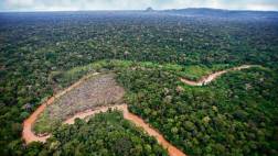La Sierra del Divisor espera ser declarada parque nacional
