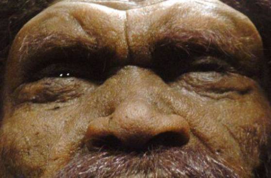 Identifican ritual caníbal de hace más de 14 mil años