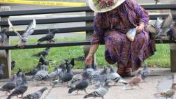 Alimentar aves silvestres atrae a especies invasoras