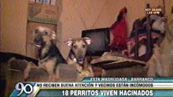 Barranco: 30 perros vivían en pésimas condiciones en dos casas