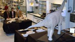 Hallan fósil de un gran dinosaurio de hace 126 millones de años