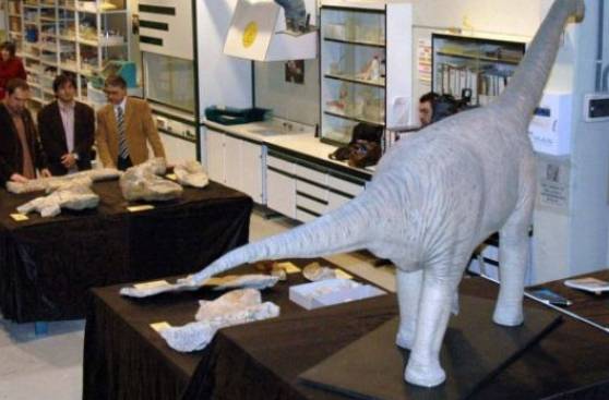 Hallan fósil de un gran dinosaurio de hace 126 millones de años