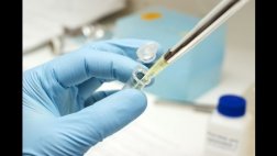 Buscan crear vacuna para proteger de por vida contra la gripe