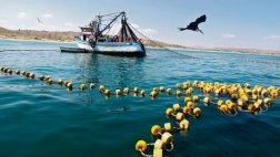 Suprema permite pesca industrial de anchoveta desde la milla 5