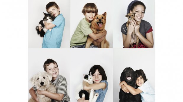 Enseña a tus hijos a respetar a las mascotas