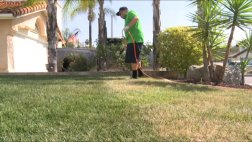 Estados Unidos: pintar el césped para tener jardines verdes