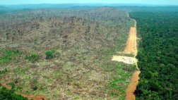 América Latina pierde biodiversidad de forma "contundente"