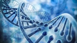 Elaboran el primer mapa genético del cáncer de próstata