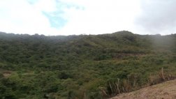 Piura: reconocen nueva área de conservación en Ayabaca