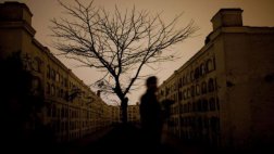 Lima de aparecidos, por Gonzalo Torres