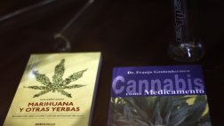 Uruguay: venta de productos para cultivar marihuana se dispara