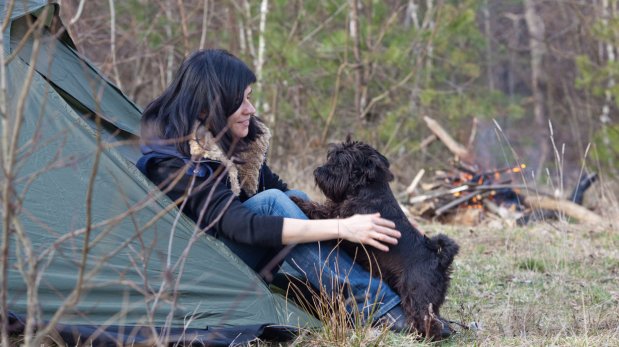 Lleva a tu mascota de campamento siguiendo estos consejos