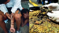 ¿Cuál es la droga que más se consume en Europa?