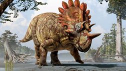Descubren nueva especie de dinosaurio de 70 millones de años