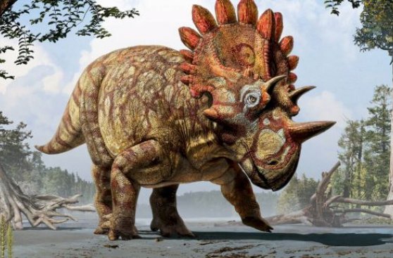 Descubren nueva especie de dinosaurio de 70 millones de años