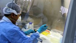 Dengue en Áncash: a once aumentaron los casos