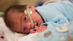 Este pequeño nació de una mujer con muerte cerebral en EE.UU.
