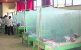 Chikungunya: alerta roja en centros de salud de Tumbes y Piura