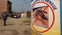 Emergencia por dengue y chikunguña abarcará 17 departamentos